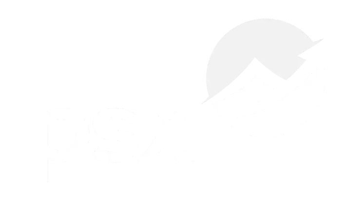 Desenvolvimento-de-Sites-PSX-SERVICES